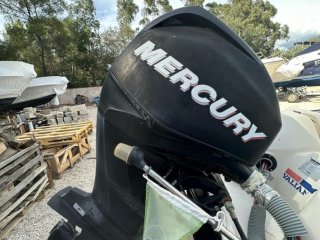 Mercury F40 occasion