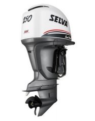 Selva 250 cv - Image 1