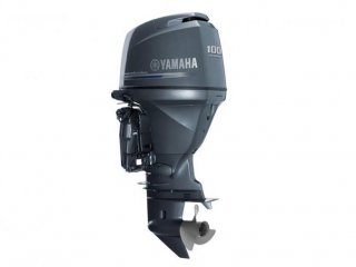 Yamaha F100 FETL - Image 2