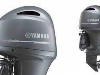 Yamaha F150LB - Image 3