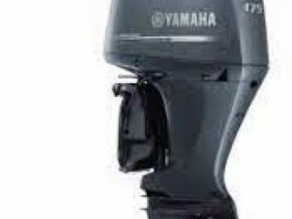 Yamaha F175 AETX - Image 1