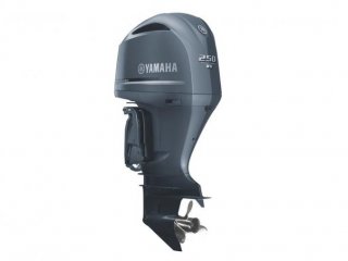 Yamaha F250 - Image 1