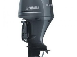 Yamaha F250 Xcb / L-Xcb neu