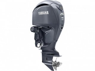 Yamaha F250NSBX/U - Image 1